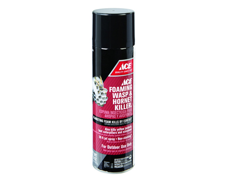 Ace® Foaming Wasp & Hornet Killer - 17.5 oz.