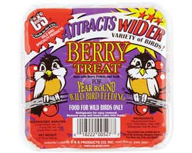 C&S® 11.75 oz. Suet Treat - Berry Treat