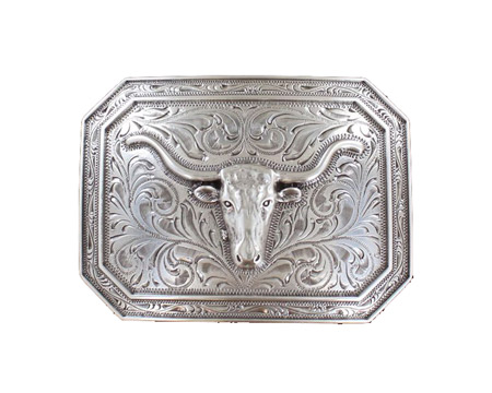 M&F Western Products® Ariat Smooth Edge Longhorn Belt Buckle