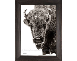 Rocky Mountain Publishing® Winter Keeper 11x15 Framed Art