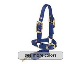 Sheep Halter with 5' Lead