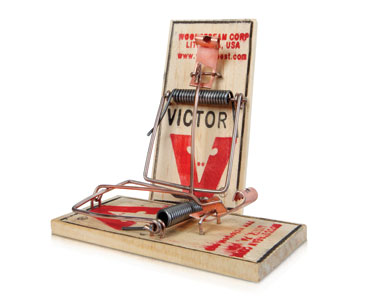 Victor Mouse Trap - 2 Pack