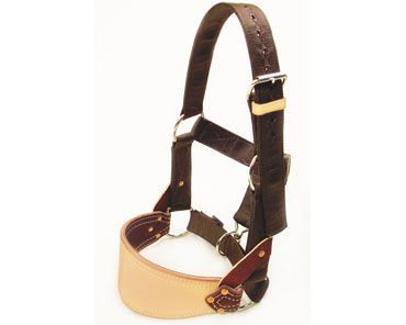 Barstow Nylon Bronc Halter