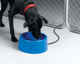 API® Heated Plastic Pet Bowl - 5 Quart