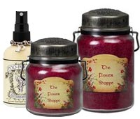 Candlewarmers & Essential Oils