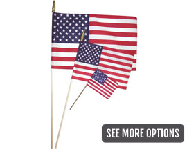 Flag Zone U.S. Spearhead Flag - Choose your Size