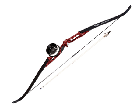 Cajun Bowfishing Fish Stick Bow