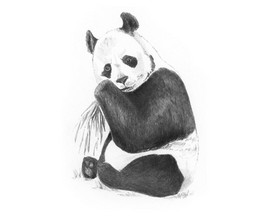 Royal & Langnickel Mini Sketching Made Easy Kit - Panda