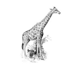 Royal & Langnickel Mini Sketching Made Easy Kit - Giraffe