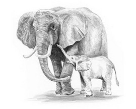 Royal & Langnickel Mini Sketching Made Easy Kit - Elephant & Baby