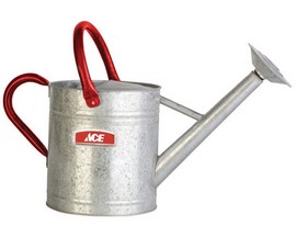 Ace® Galvanized Steel Watering Can - 2 gal.