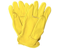Yellowstone Gloves
