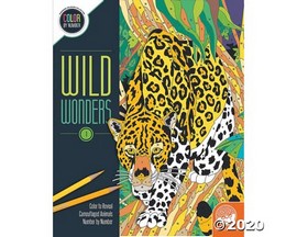 Color by Number Wild Wonders Coloring Book