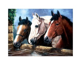 Royal & Langnickel Large Painting by Number Junior Kit - Horses