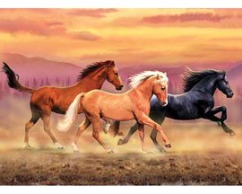 Royal & Langnickel Large Painting By Number Junior Kit - Horses