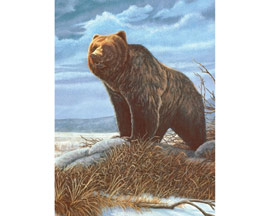 Royal & Langnickel Small Painting By Number Junior Kit - Grizzlies