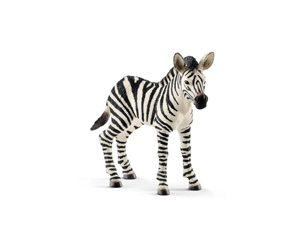 Schleich Zebra Foal